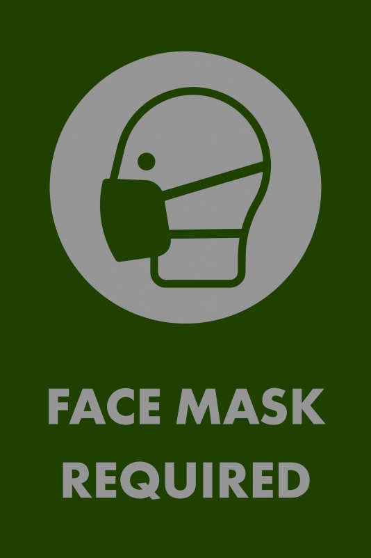 194MR Gree n Face Mask